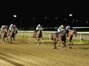 Velada nocturna caballos Gran Hipódromo Andalucía dobletes Janacek Sousa