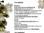 Corullón celebra Enxendra cireixa” ruta para disfrutar floración cerezos actividades paralelas