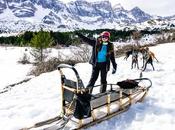 Mushing Pirineos: experiencia maravillosa