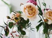 Probando: Lacer Natur