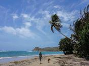 Comenta mejores destinos para salto islas Caribe Denise Myles,