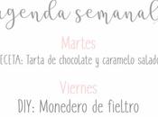 Agenda Semanal 1/04 7/04