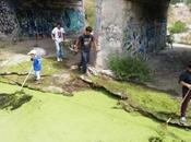 Ciudadanos realizan limpieza Paisanos