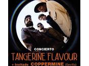 Tangerine Flavour Coppermine Costello Club