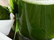 Tiendas Naturistas Bucaramanga direcciones teléfonos