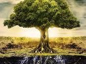 árbol toda humanidad