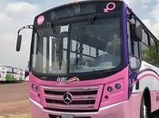 Este implementarán transporte rosa Luis Potosí