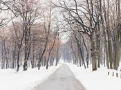 Inviernos estreno para otoños cansados