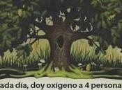 Nuestros bosques