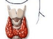 causas nódulos tiroideos