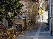 callejón gatos