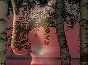 Sigue camino adelante...