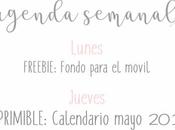 Agenda Semanal 22/04 28/04