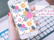 Fondo pantalla para movil Mayo