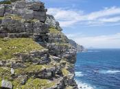Cape Point: donde encuentran océanos?