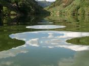 primavera, viva nunca Ribera Sacra