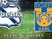 Puebla Tigres vivo liga