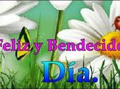 Feliz Bendecido