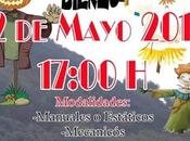 Programa Fiestas Flores 2019