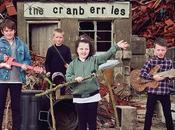 Cranberries publica álbum despedida, End’