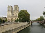 Sobre catedral Notre Dame París incendio.