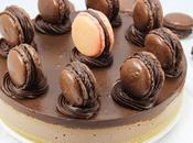 Tarta queso chocolate (Sin horno) Thermomix