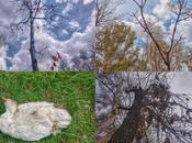 Autoridades siguen dejando morir Parque Morales