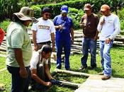 Taller ecuador 2011