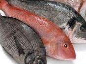 Comer pescado para bajar peso