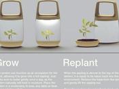 Eco-Lantern: Eco-linterna Terrario prospera vida