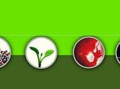 Muerte digna cuidados paliativos, examen Jornadas Bioética