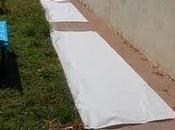 Primavera vivaldi: pintada