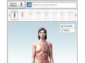 Lanzan primera herramienta online permite observar diferentes partes cuerpo humano animaciones grados