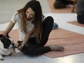 Practicando doga (yoga para perros)