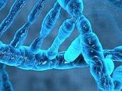 ¿Cómo funcionan algoritmos genéticos?