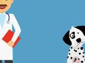 Urgencias Veterinaria horas Cali Direcciones teléfonos