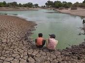 naturaleza está mostrando declive «sin precedentes» historia humanidad. salud ecosistemas nosotros todas demás especies dependemos deteriorando rápidamente nunca