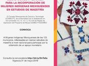 Abre comecyt convocatoria becas para mujeres indígenas quieran realizar maestría