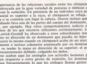 Somos primates