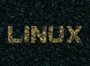importancia elegir hosting Linux