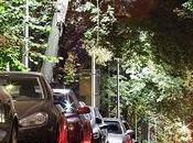 ciudades deben pensar árboles cómo infraestructura Salud Pública