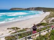 Comente sobre cómo visitar Australia unas vacaciones semanas Allison McLaughlin