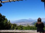 Puerto Cruz, Orotava Teide: valle montaña Tenerife