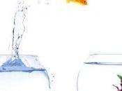 Necesito cambio vida. Pasos para cambiar