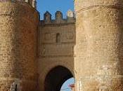 camino Santiago Zamora Camino Matritense