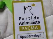 experiencia como apoderada PACMA 2019
