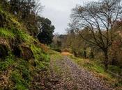 camino cantera