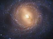 Bellísima Galaxia
