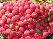 como llegó Litchi Huasteca Potosina.