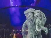 circo hologramas animales reales